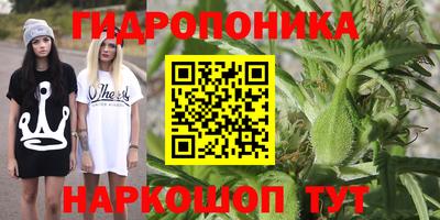 apvp Славгород