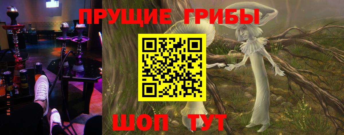 Галлюциногенные грибы Cubensis Печора