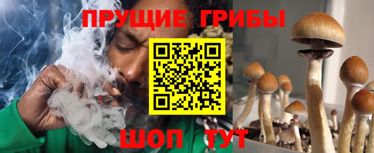 Печора  Псилоцибиновые грибы прущие грибы  Вход с VPN  цена наркотик  Псилоцибиновые грибы MAGIC MUSHROOMS 